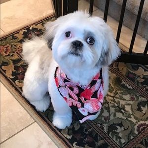 Meet your Posher, Debbie